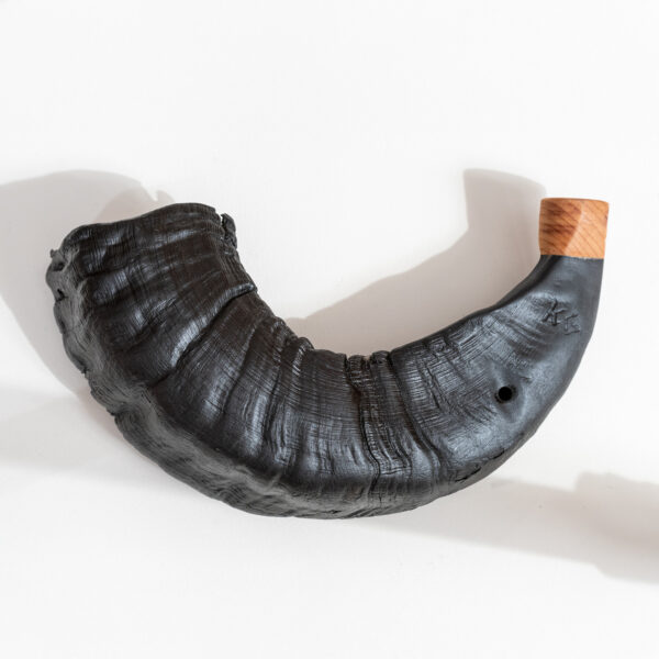 Sauhorn i B - Bilde 2