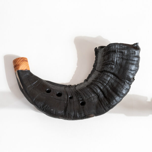 Sauhorn i B