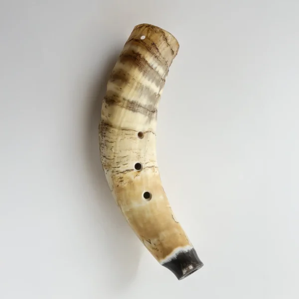 Kuhorn